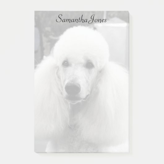 Notes de post-it de chien de caniche (Devant)