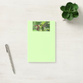 Notes de post-it de colibri (Bureau)