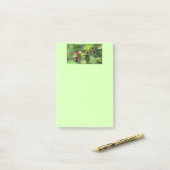Notes de post-it de colibri (Sur un bureau)