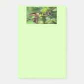 Notes de post-it de colibri (Devant)