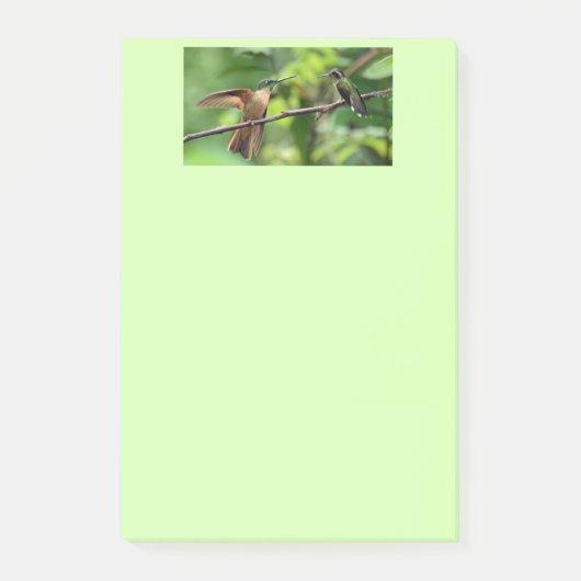 Notes de post-it de colibri (Devant)