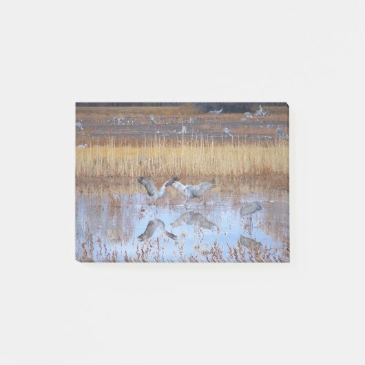 Notes de post-it de faune de danse d'oiseaux de (Devant)