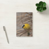 Notes de post-it de photographie de faune d'oiseau (Bureau)