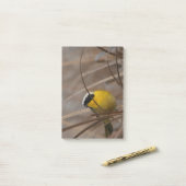 Notes de post-it de photographie de faune d'oiseau (Sur un bureau)
