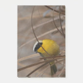 Notes de post-it de photographie de faune d'oiseau (Devant)