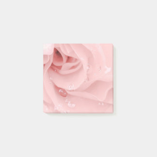Notes de post-it de rose de rose