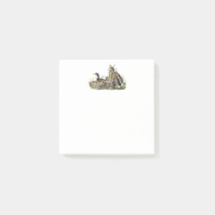 Notes de post-it des canards 3x3 de Mallard