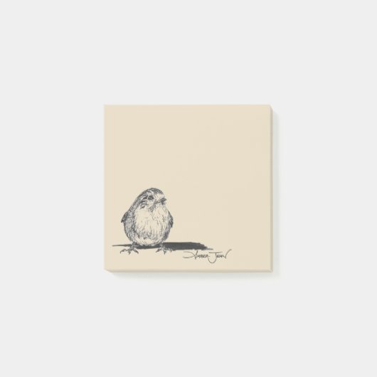 Notes de post-it pour les oiseaux de Chubby (Devant)