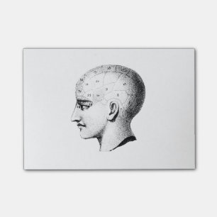 Notes de post-it vintages de diagramme d'anatomie