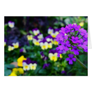 Notes de printemps