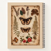 Notes de terrain Journal de la nature Papillon Vin (Dos)