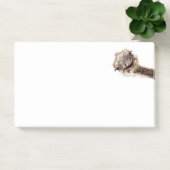 Notes Funny Ostrich Post-it® (Bureau)