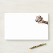 Notes Funny Ostrich Post-it® (Sur un bureau)