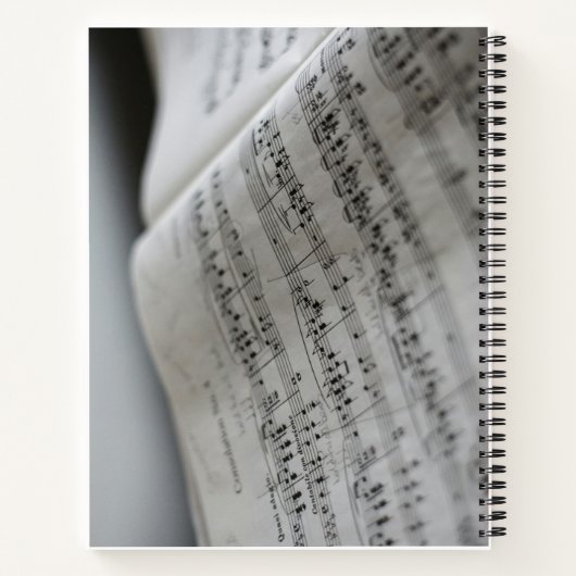 Notes musicales - Un carnet simple (Dos)
