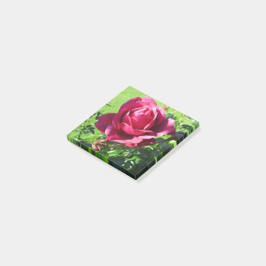 Notes post-it (Incliné)