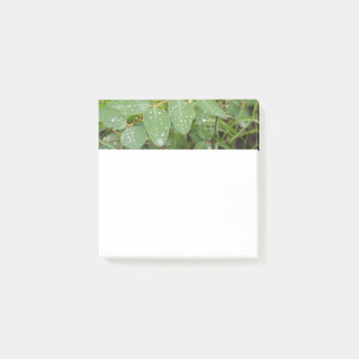 Notes Post-it avec gouttes de pluie sur feuilles v