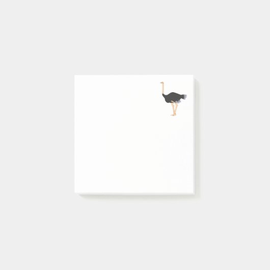 Notes post-it d'autruche (Devant)