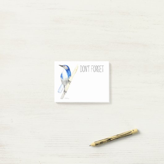 Notes post-it de California Scrub Jay (Sur un bureau)