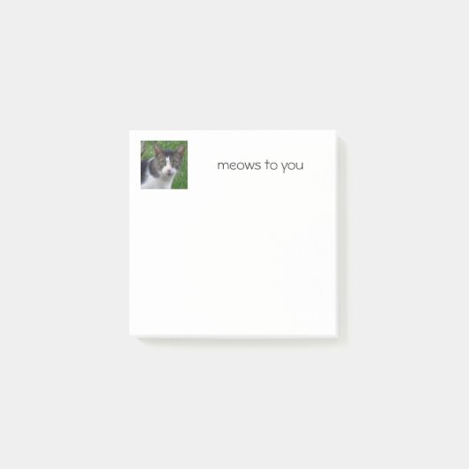 Notes post-it de chat (Devant)