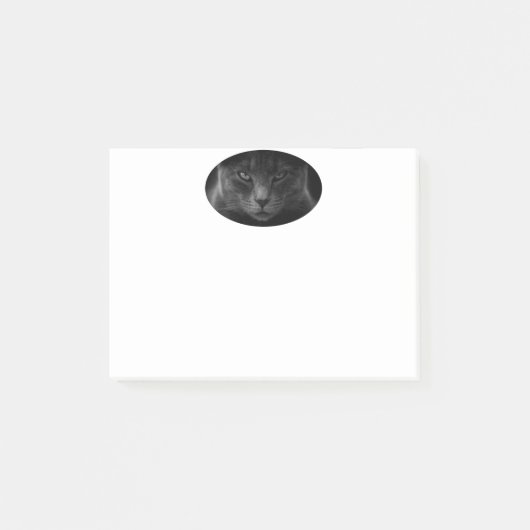 Notes post-it de chat (Devant)