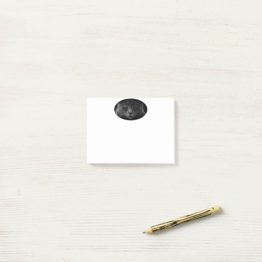Notes post-it de chat (Sur un bureau)