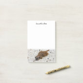 Notes post-it de Chillin' Meerkat (Sur un bureau)