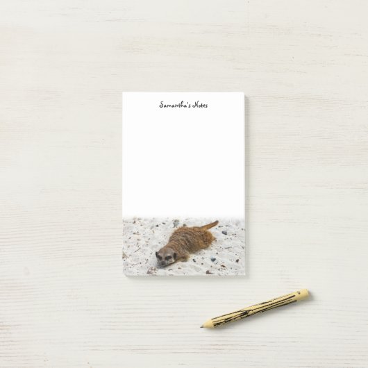 Notes post-it de Chillin' Meerkat (Sur un bureau)