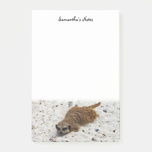 Notes post-it de Chillin' Meerkat (Devant)