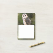 Notes Post-it® de la Chouette (Sur un bureau)