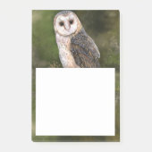 Notes Post-it® de la Chouette (Devant)