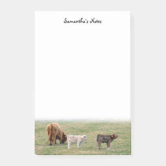 Notes post-it de la vache Highland (Devant)