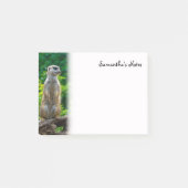Notes post-it de Meerkat (Devant)