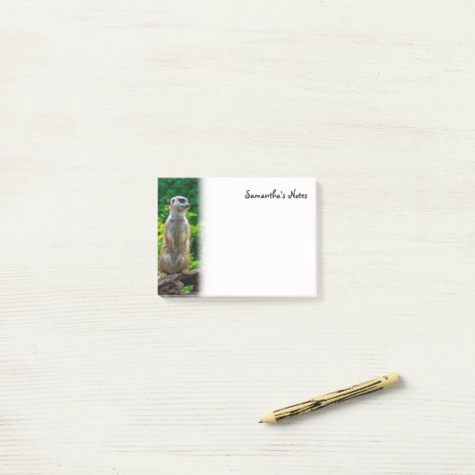 Notes post-it de Meerkat (Sur un bureau)