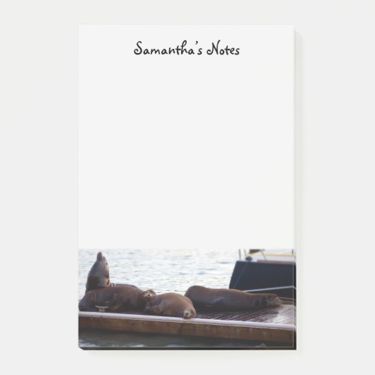 Notes post-it des lions de mer (Devant)