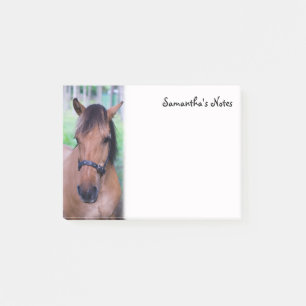 Notes post-it du cheval