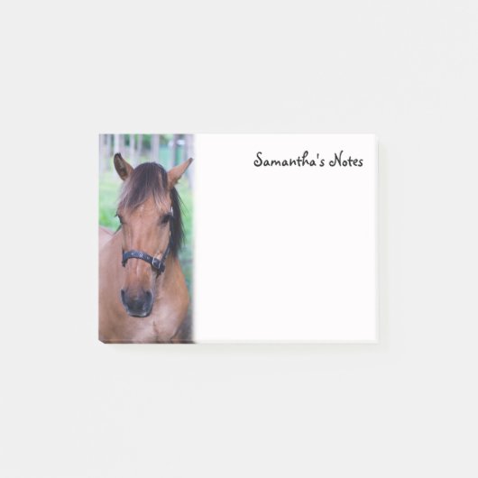 Notes post-it du cheval (Devant)