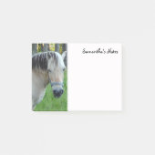 Notes post-it du cheval (Devant)