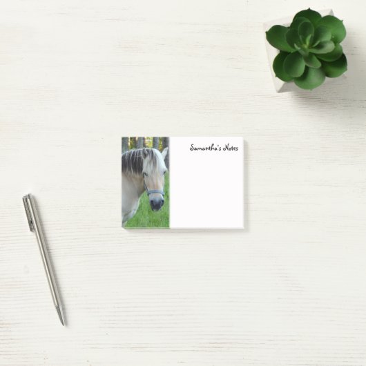 Notes post-it du cheval (Bureau)