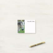 Notes post-it du cheval (Sur un bureau)