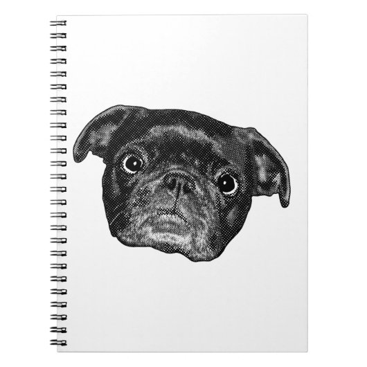 Notes sur la race Journal d'hiver (Devant)