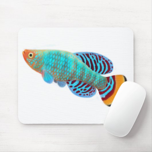 Nothobranchius Rachovii Killifish Mousepad Muismat (Met muis)