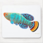 Nothobranchius Rachovii Killifish Mousepad Muismat (Voorkant)