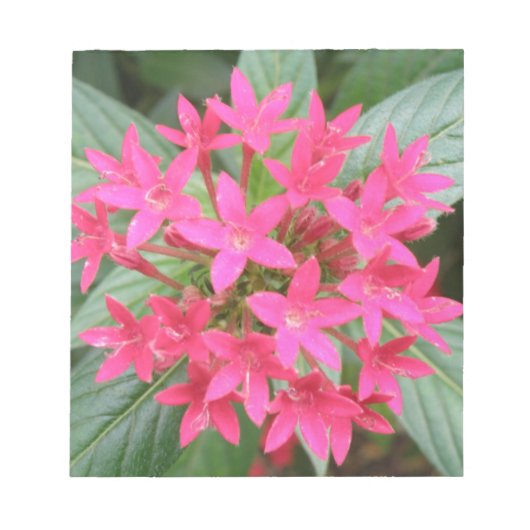 Notitieblok met felroze tropische bloemen (Voorkant)