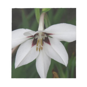 Notitieblok Orchid Flowers
