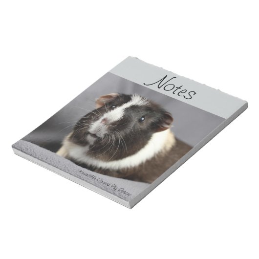 Notitieblok van cavia's (Gedraaid)