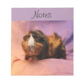 Notitieblok van cavia's (Voorkant)