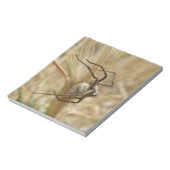 Notitieblok van spin en eieren (Gedraaid)