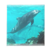 Notitieblok zwemdolfijn (Voorkant)