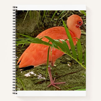 notitieboek