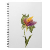 Notitieboek (Voorkant)